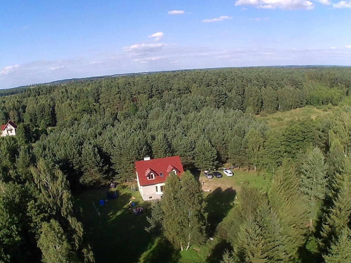 Дома для отпуска Przy-stan w lesie Kotkowo-17