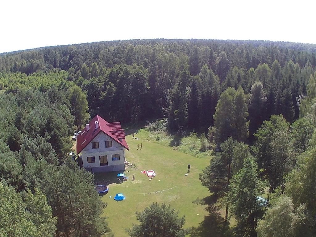 Дома для отпуска Przy-stan w lesie Kotkowo-51